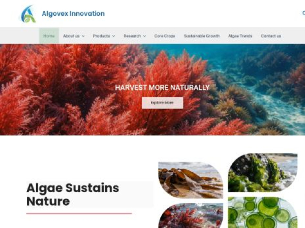 algovexinnovation.com