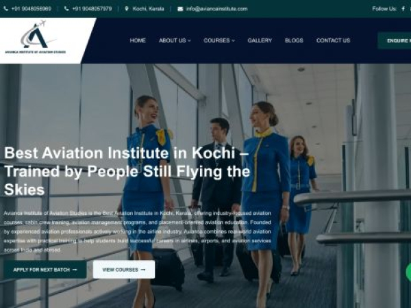 aviancainstitute.com
