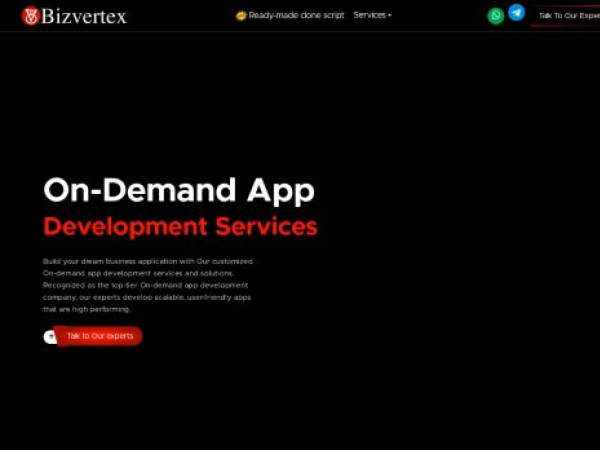 bizvertex.com