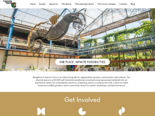 blrcreativecircus.com