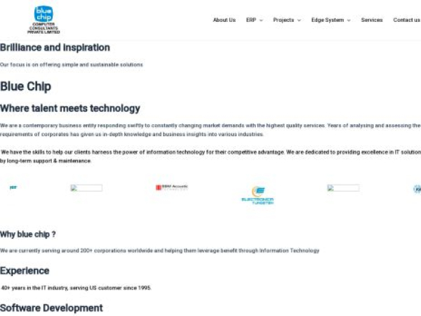 bluechipsw.com