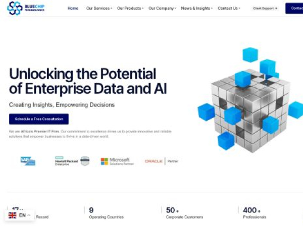 bluechiptech.biz