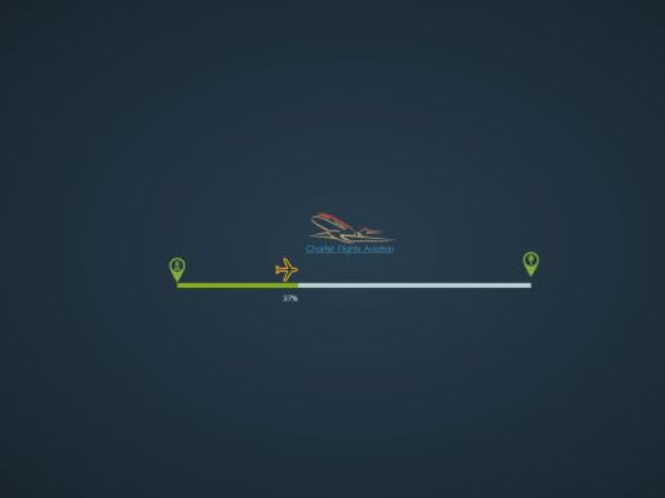 charterflightsaviation.com