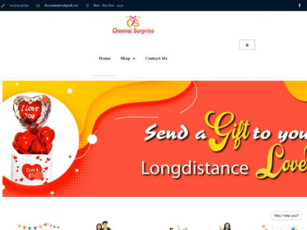 chennaisurprise.com