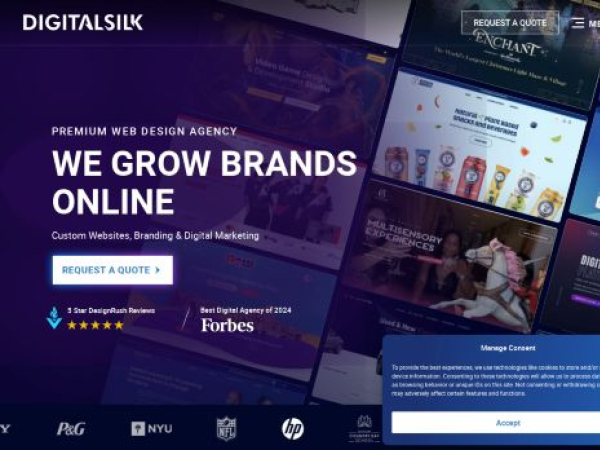 digitalsilk.com