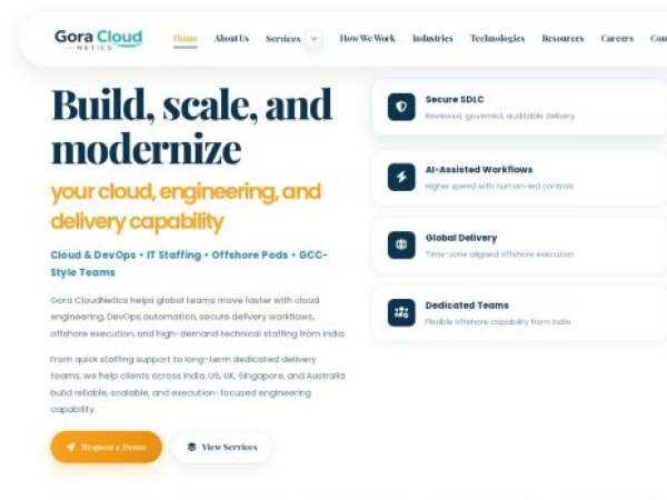 goracloudnetics.com