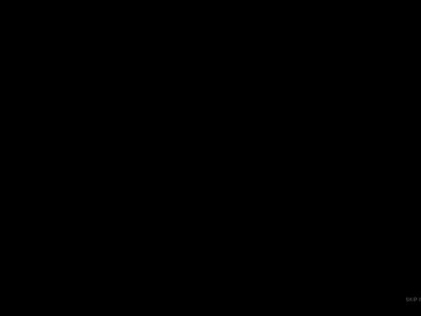infolexus.com