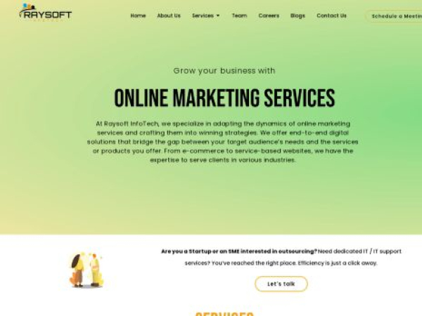 raysoftinfotech.com