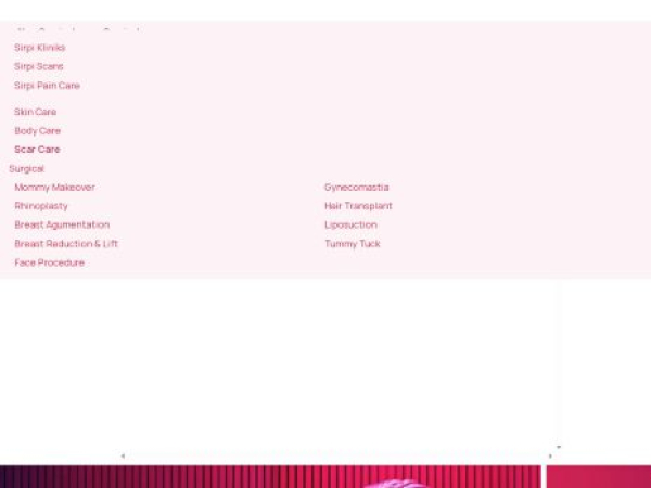 sirpicentre.com