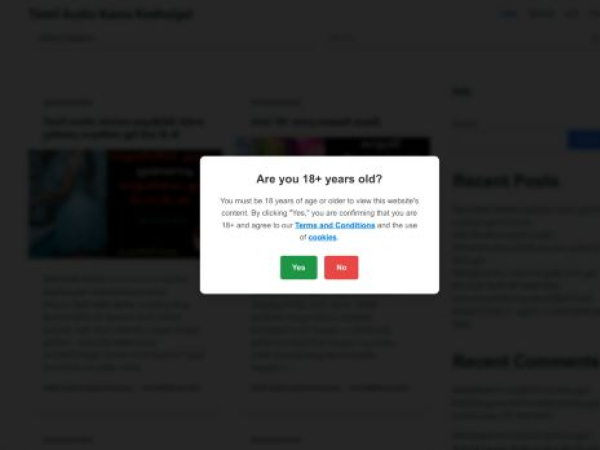 tamilaudiokamakadhaigal.com