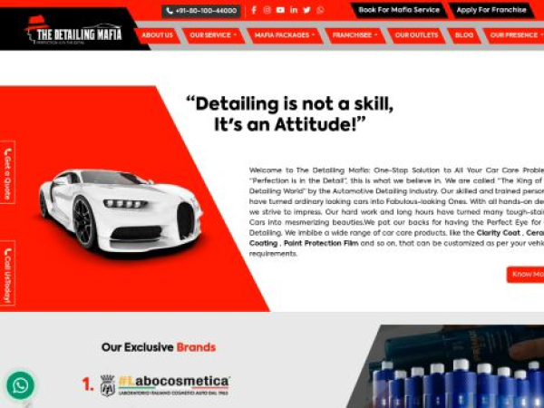 thedetailingmafia.com