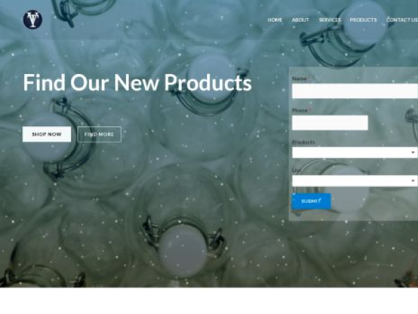 thevisiontraders.com