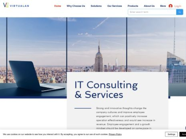 virtualansoftware.com